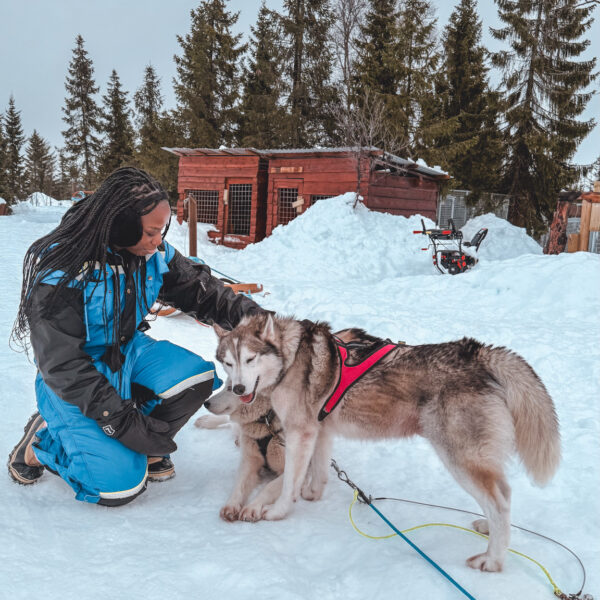 Friendly husky dogs at a Tromsø dog sledding camp