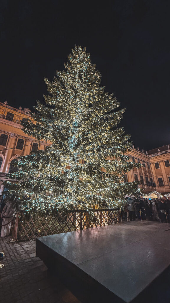 another must visit christmas spots in vienna is Schonbrunn Palace